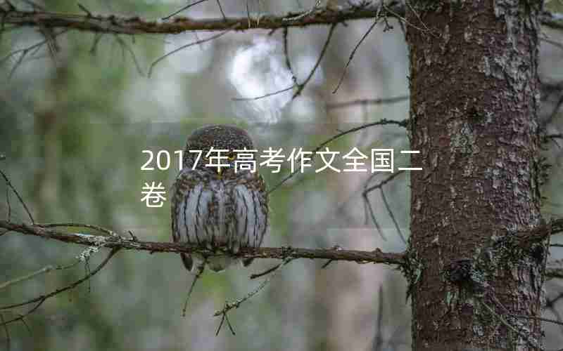 2017年高考作文全国二卷