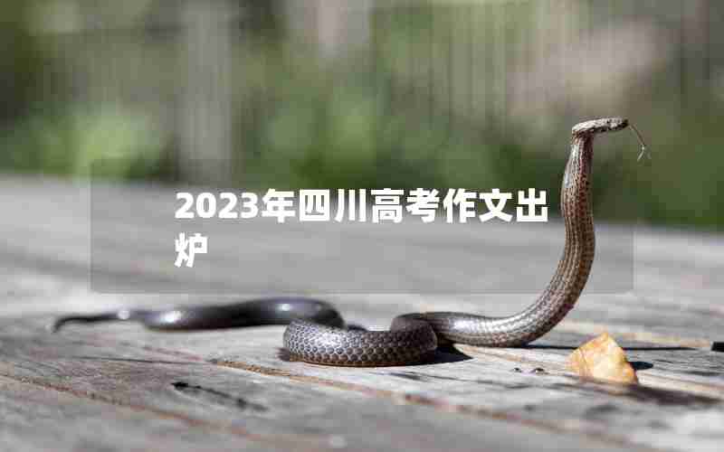 2023年四川高考作文出炉