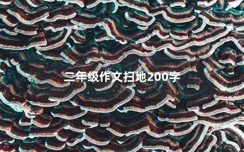 二年级作文扫地200字