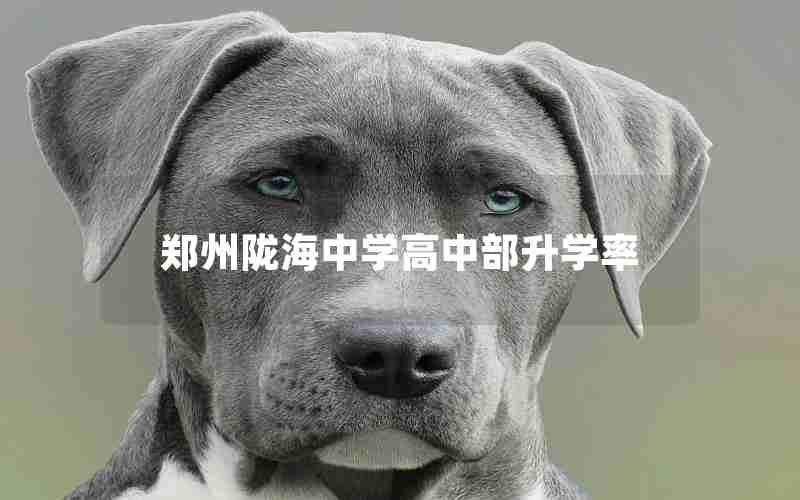 郑州陇海中学高中部升学率