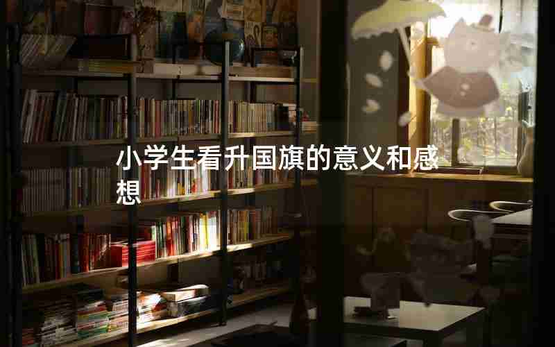 小学生看升国旗的意义和感想
