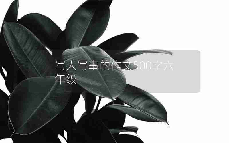 写人写事的作文500字六年级