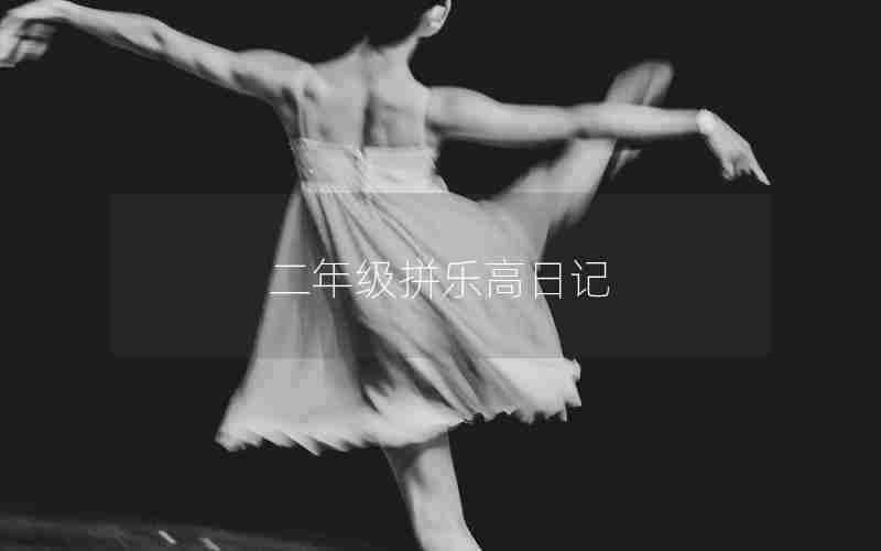 二年级拼乐高日记