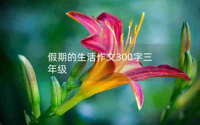 假期的生活作文300字三年级