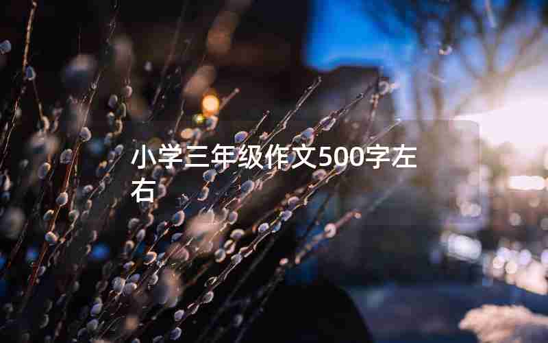 小学三年级作文500字左右