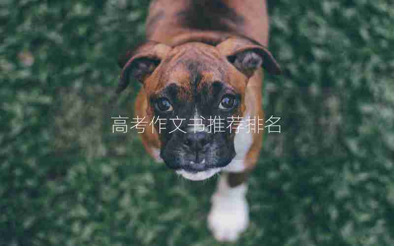 高考作文书推荐排名