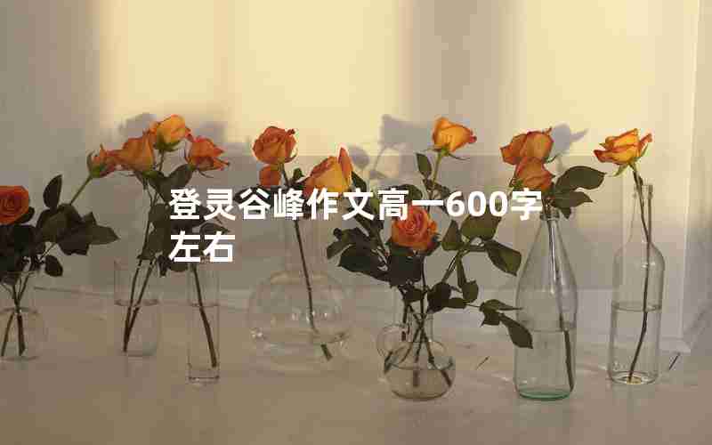 登灵谷峰作文高一600字左右