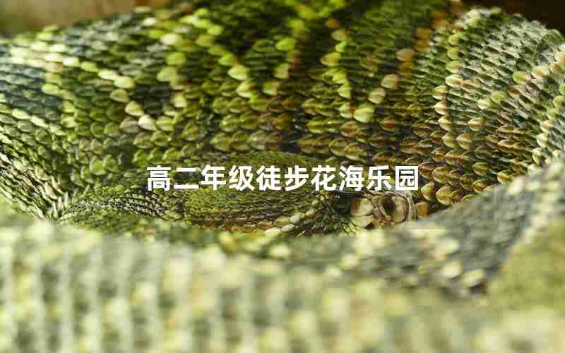 高二年级徒步花海乐园;雪山花海乐园门票价格