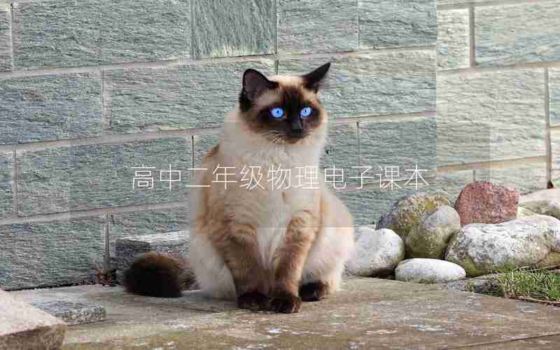 高中二年级物理电子课本