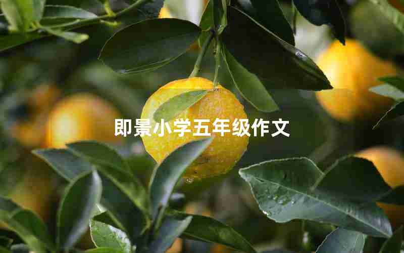 即景小学五年级作文