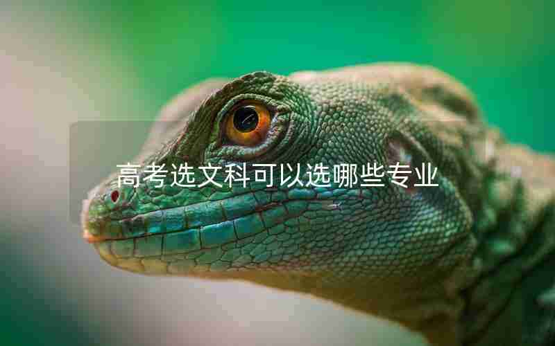 高考选文科可以选哪些专业