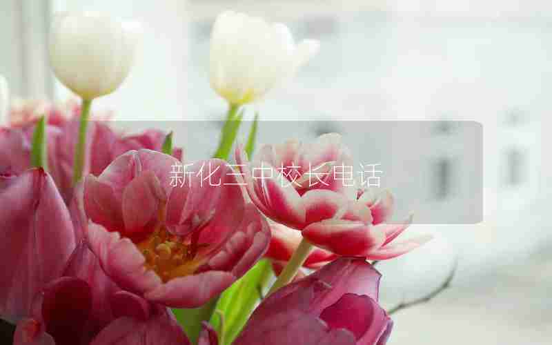 新化三中校长电话