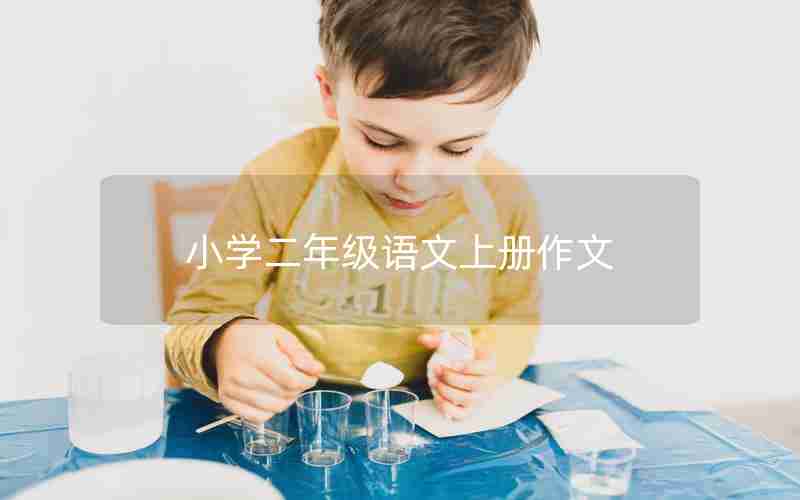 小学二年级语文上册作文