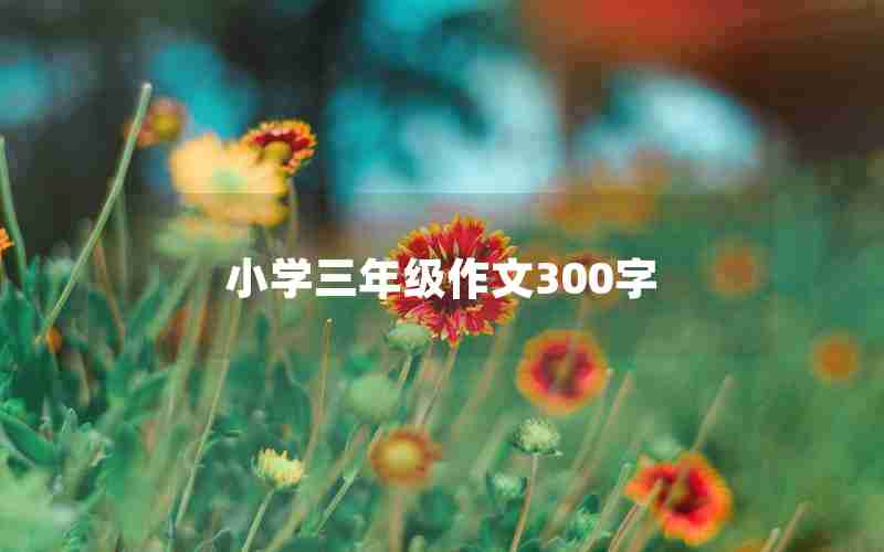 小学三年级作文300字