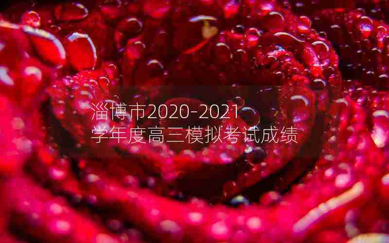 淄博市2020-2021学年度高三模拟考试成绩