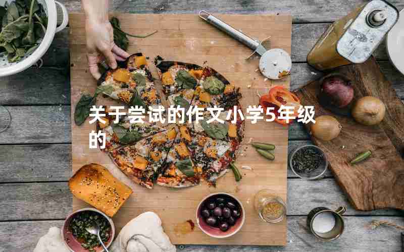 关于尝试的作文小学5年级的