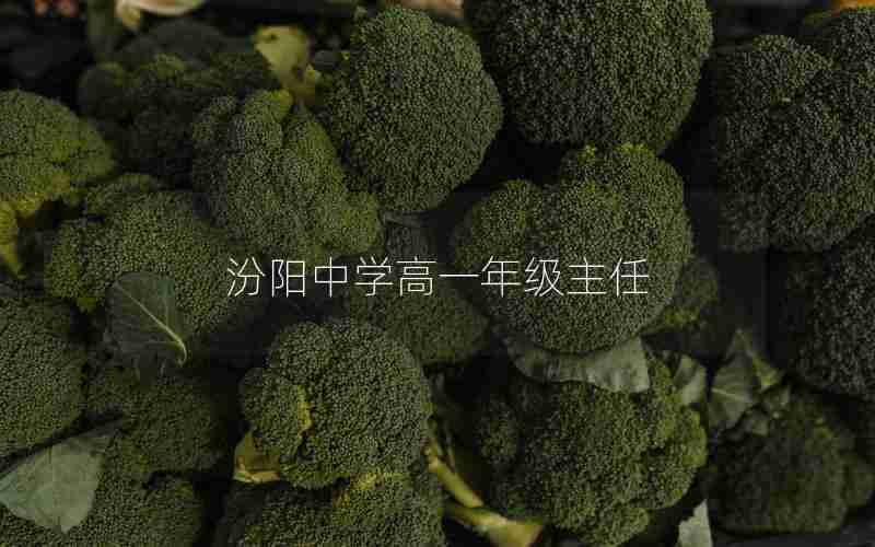 汾阳中学高一年级主任