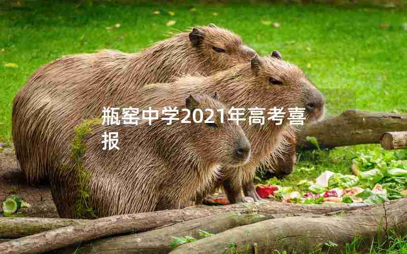 瓶窑中学2021年高考喜报