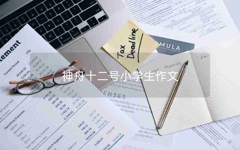 神舟十二号小学生作文