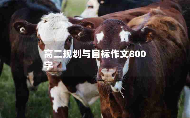 高二规划与目标作文800字