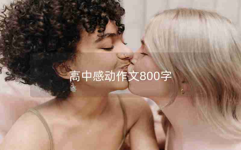 高中感动作文800字