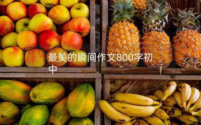最美的瞬间作文800字初中
