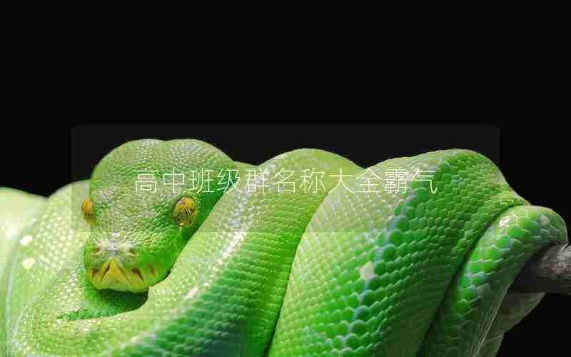 高中班级群名称大全霸气