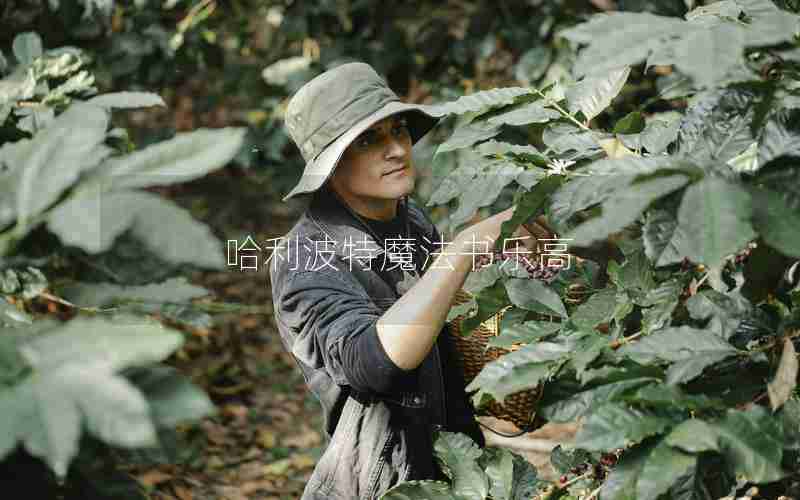 哈利波特魔法书乐高