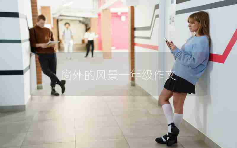窗外的风景一年级作文