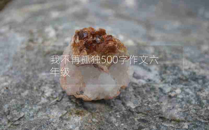 我不再孤独500字作文六年级