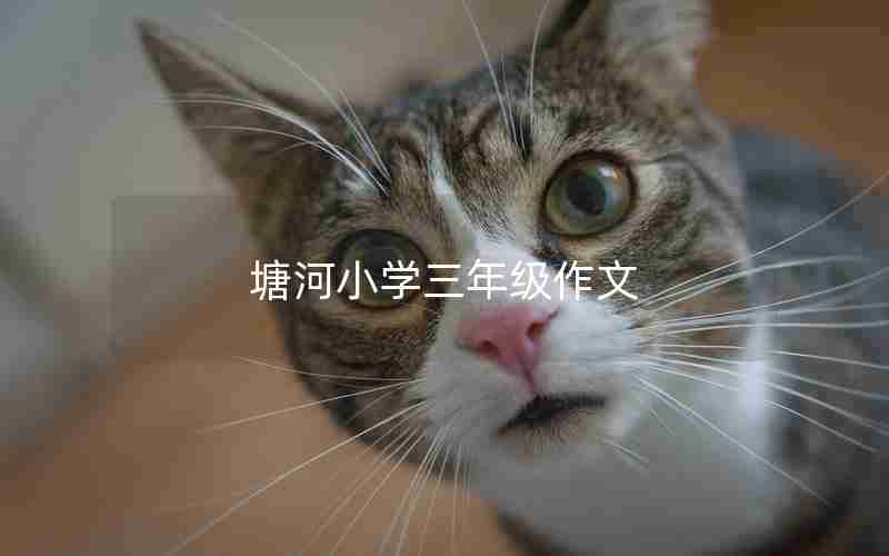 塘河小学三年级作文