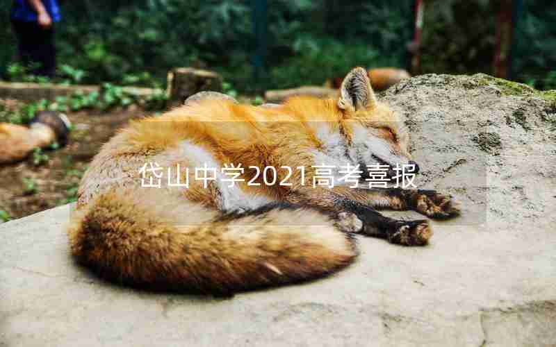 岱山中学2021高考喜报