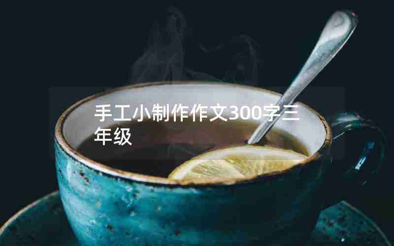 手工小制作作文300字三年级