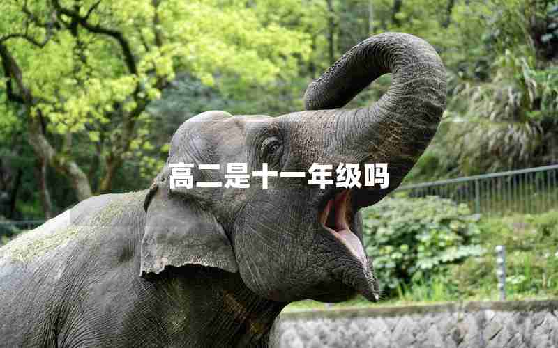 高二是十一年级吗