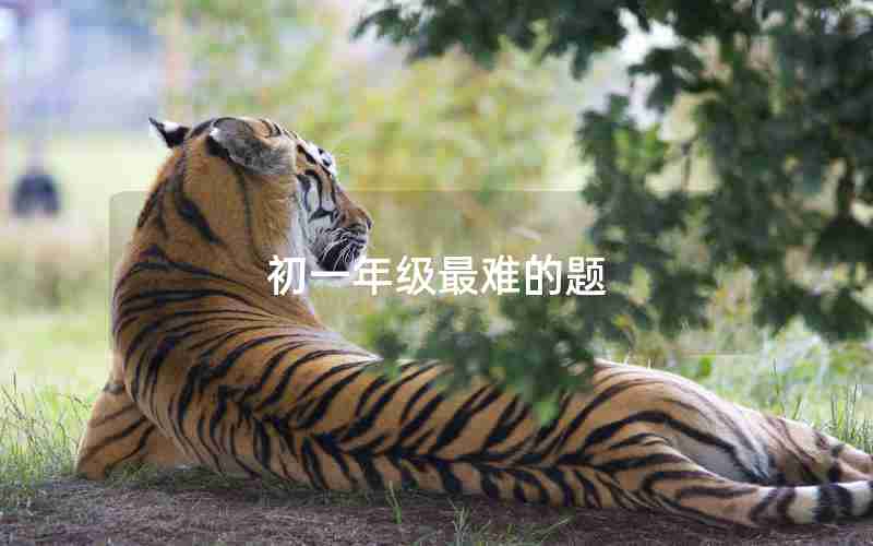 初一年级最难的题