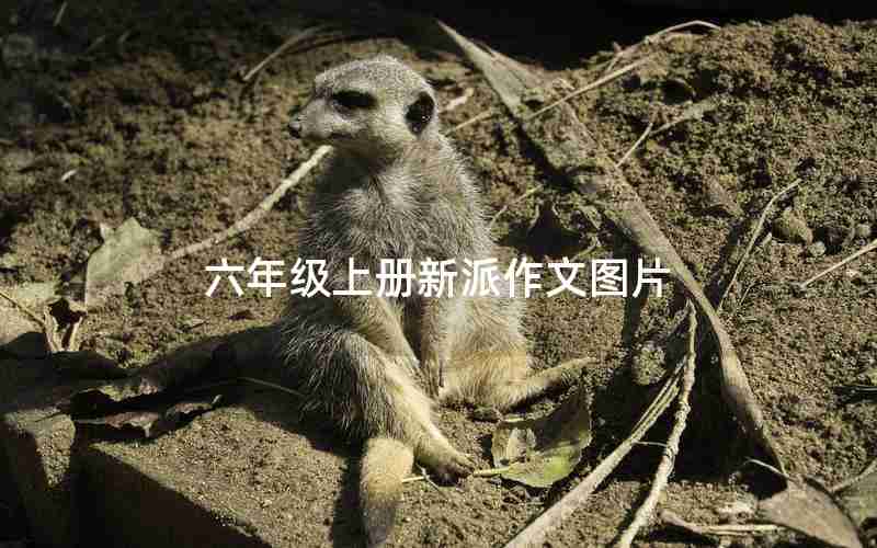 六年级上册新派作文图片