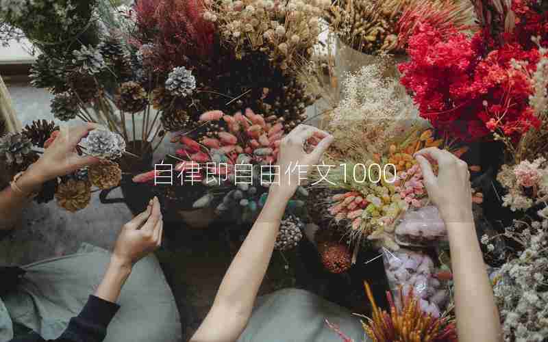 自律即自由作文1000