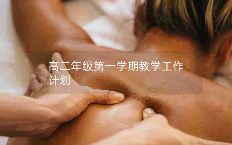 高二年级第一学期教学工作计划