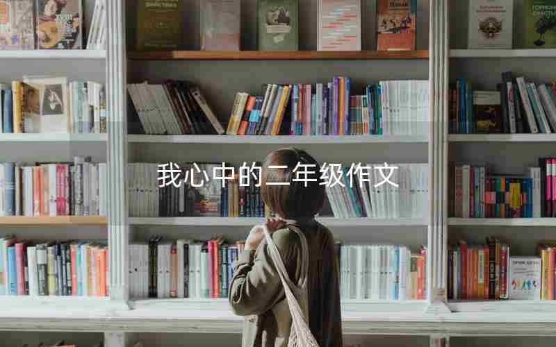 我心中的二年级作文