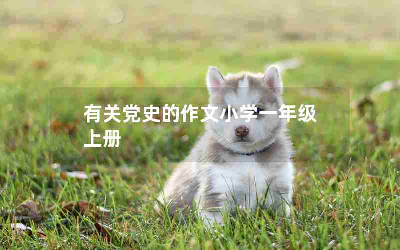 有关党史的作文小学一年级上册