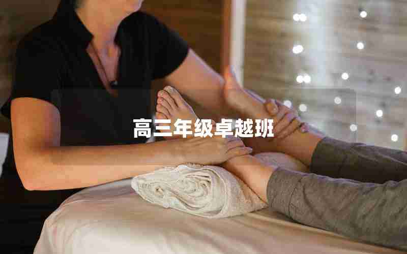 高三年级卓越班—卓越高考冲刺班