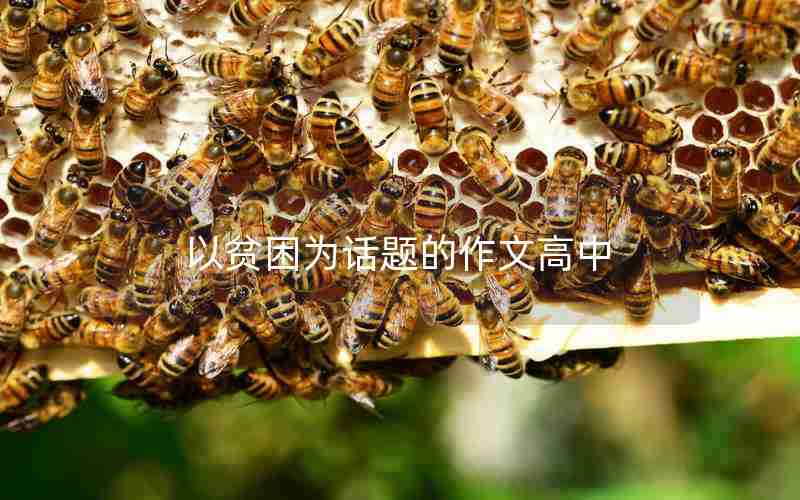 以贫困为话题的作文高中