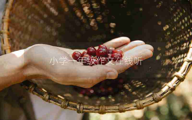 小学一年级作文在线听