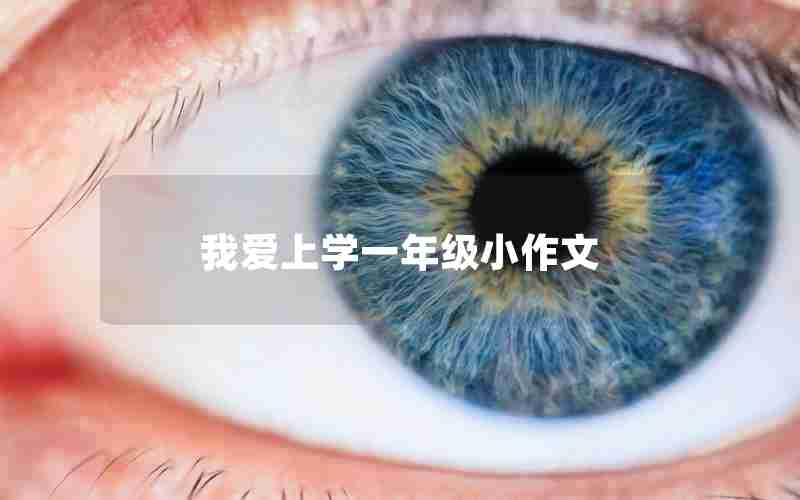 我爱上学一年级小作文