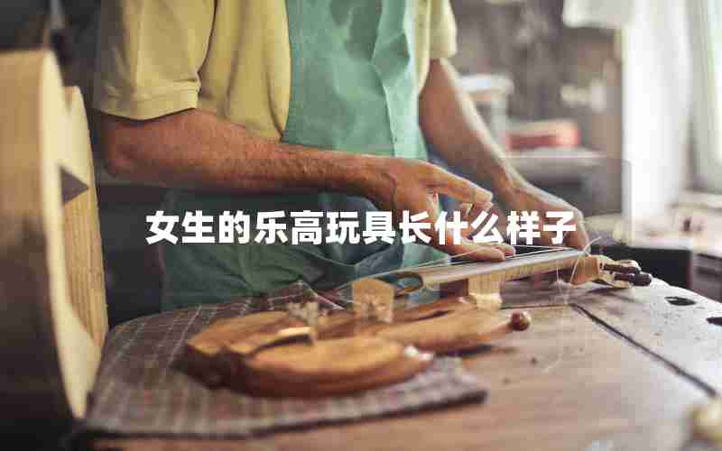 女生的乐高玩具长什么样子