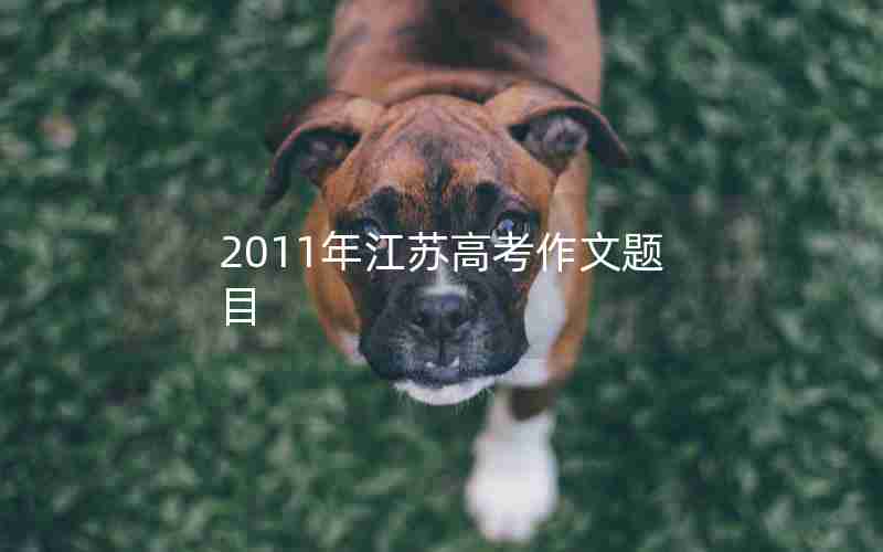 2011年江苏高考作文题目