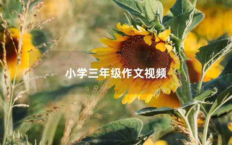 小学三年级作文视频