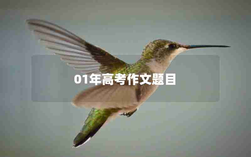 01年高考作文题目