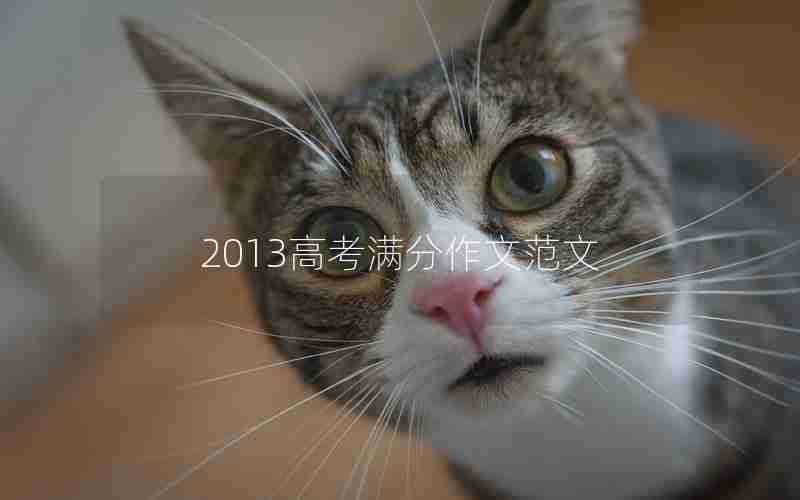 2013高考满分作文范文