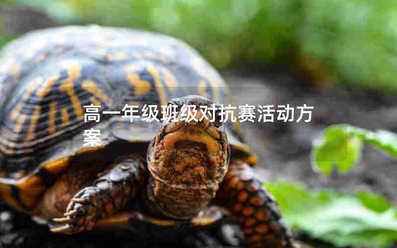 高一年级班级对抗赛活动方案